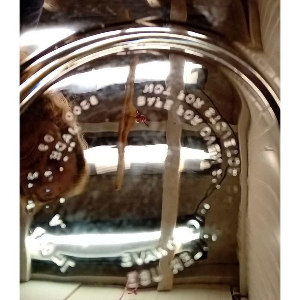 Pyrex, clear divided dish. # 8300- og, 2 cups , 470 ml, heat n serve - Picture 4 of 9
